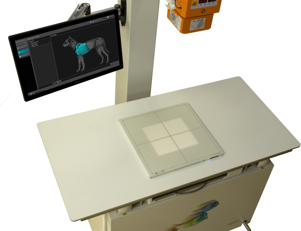 Veterinary machines film processor software medical x ray systems Amsterdam
